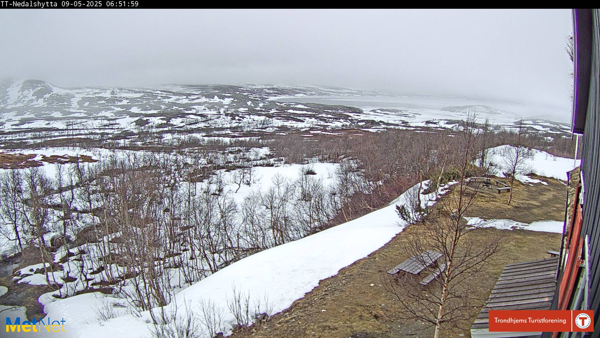 Webcam Nedalshytta, Tydal, Trøndelag, Norwegen